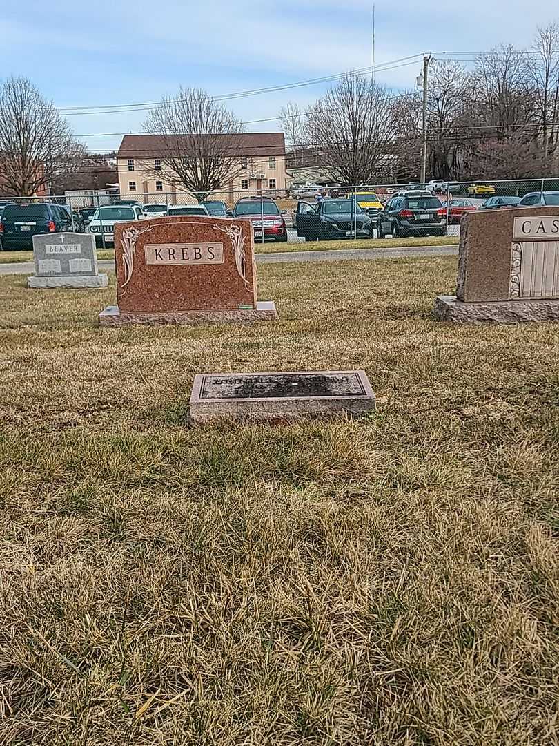 Heindel S. Krebs's grave. Photo 2