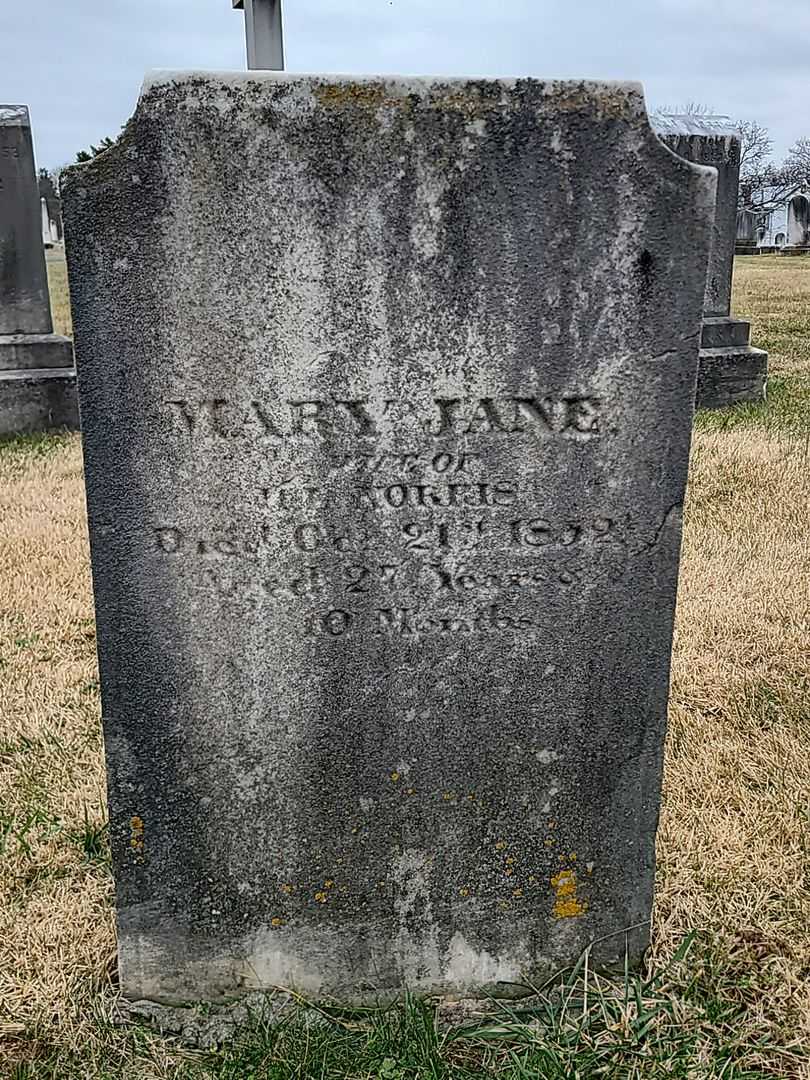 Mary Jane Norris's grave. Photo 3