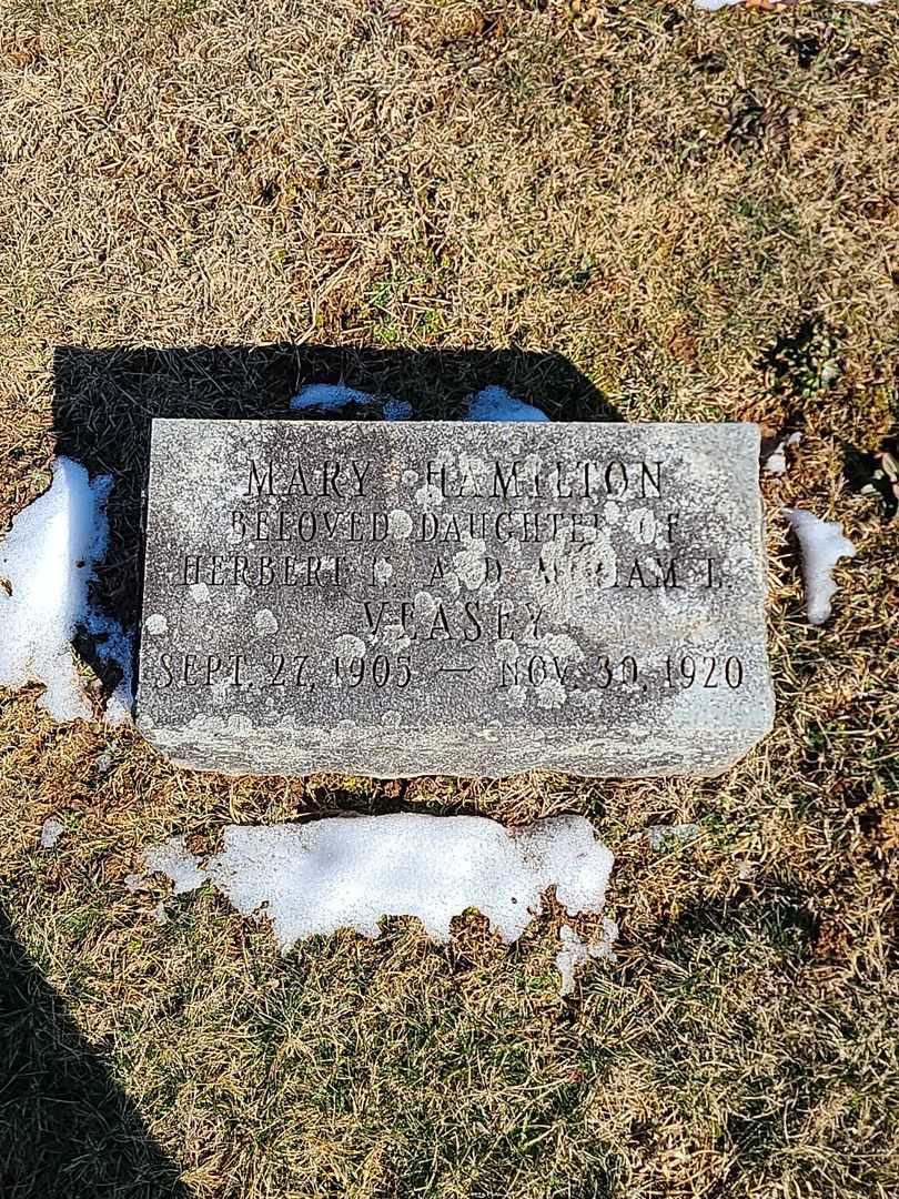 Mary Hamilton Veasey's grave. Photo 3