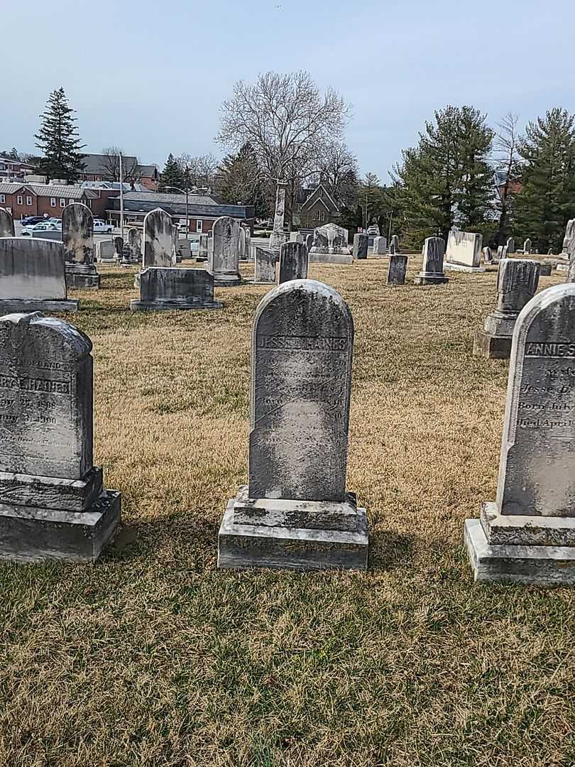 Jesse L. Haines's grave. Photo 1