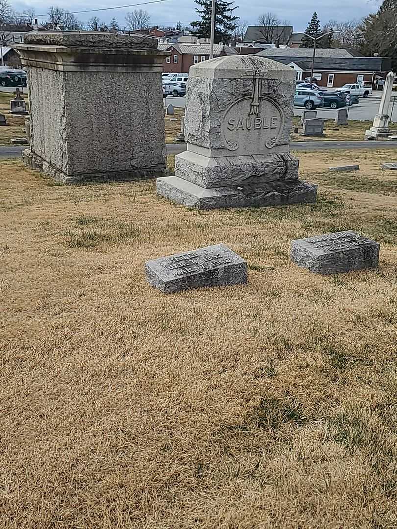 Peter P. Sauble's grave. Photo 2