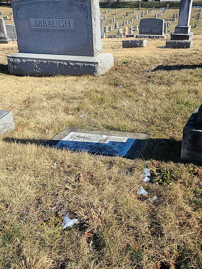 David G. Green's grave. Photo 2