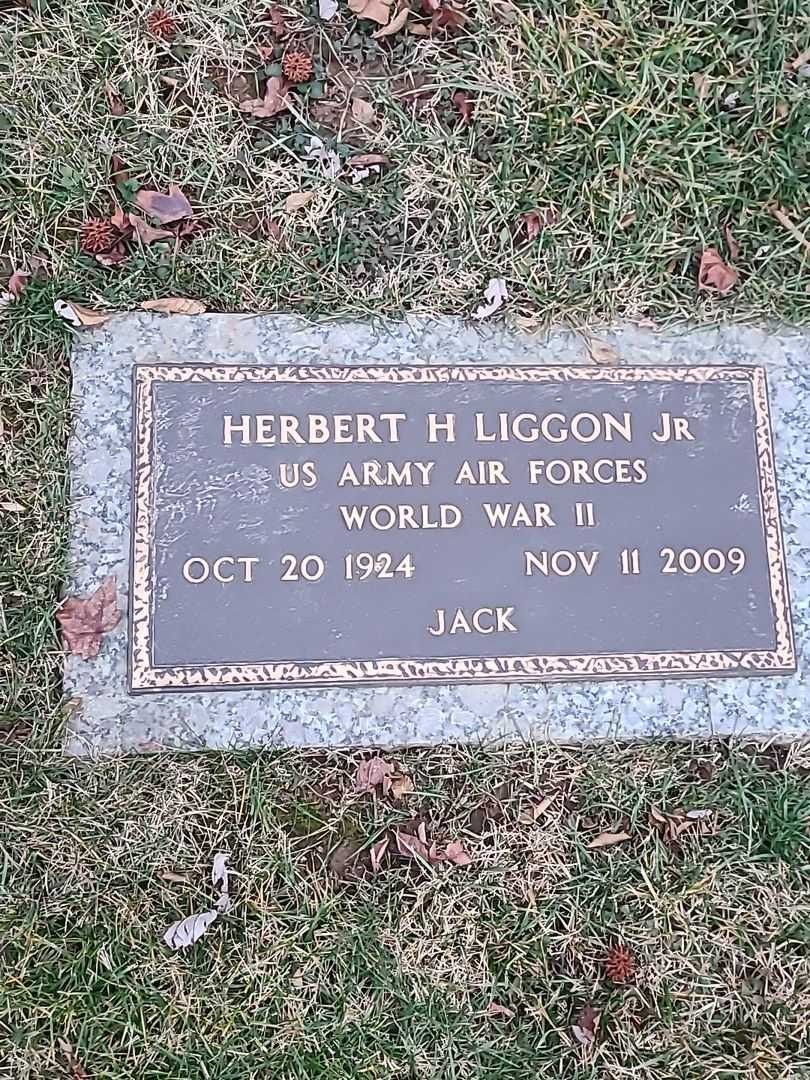 Herbert H. "Jack" Liggon Junior's grave. Photo 1