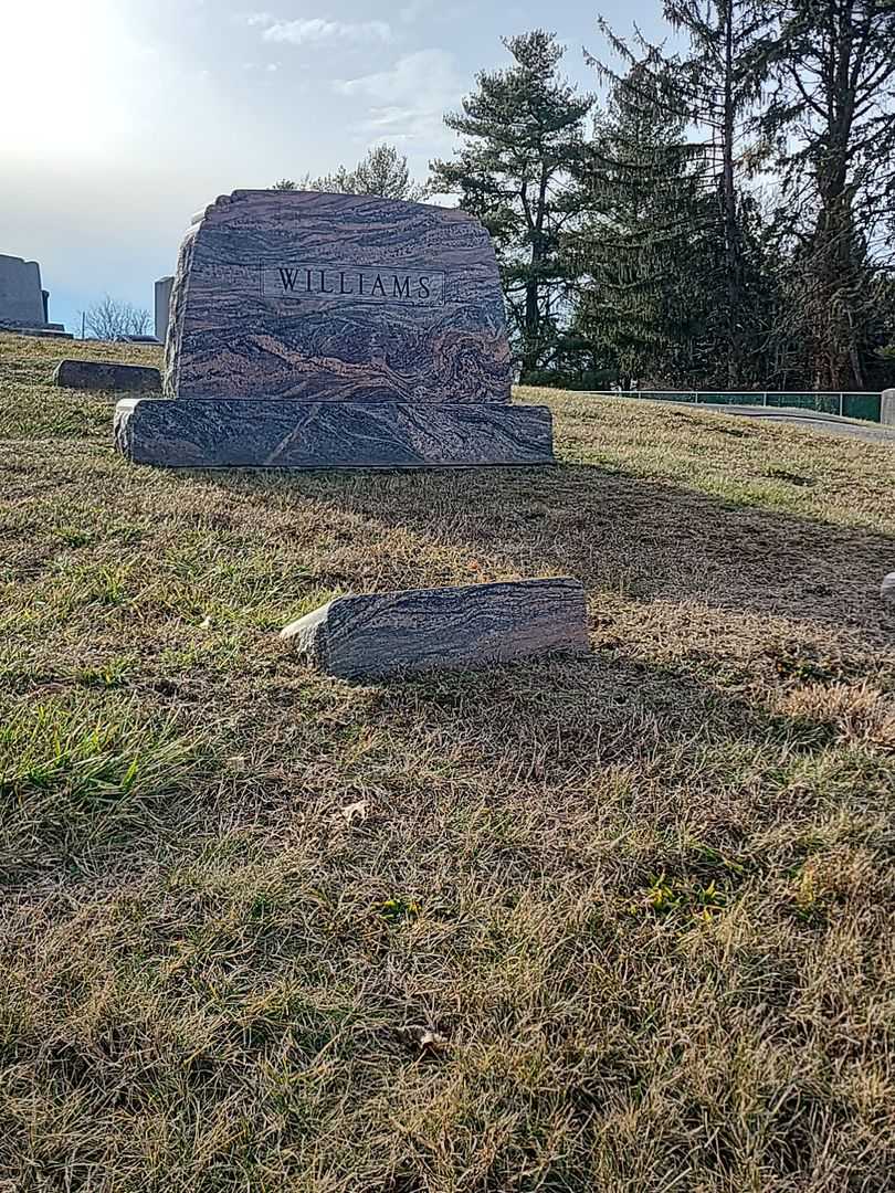Melvin C. Williams's grave. Photo 2