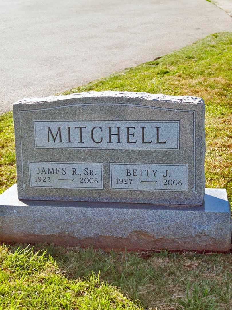 James D. Mitchell's grave. Photo 3