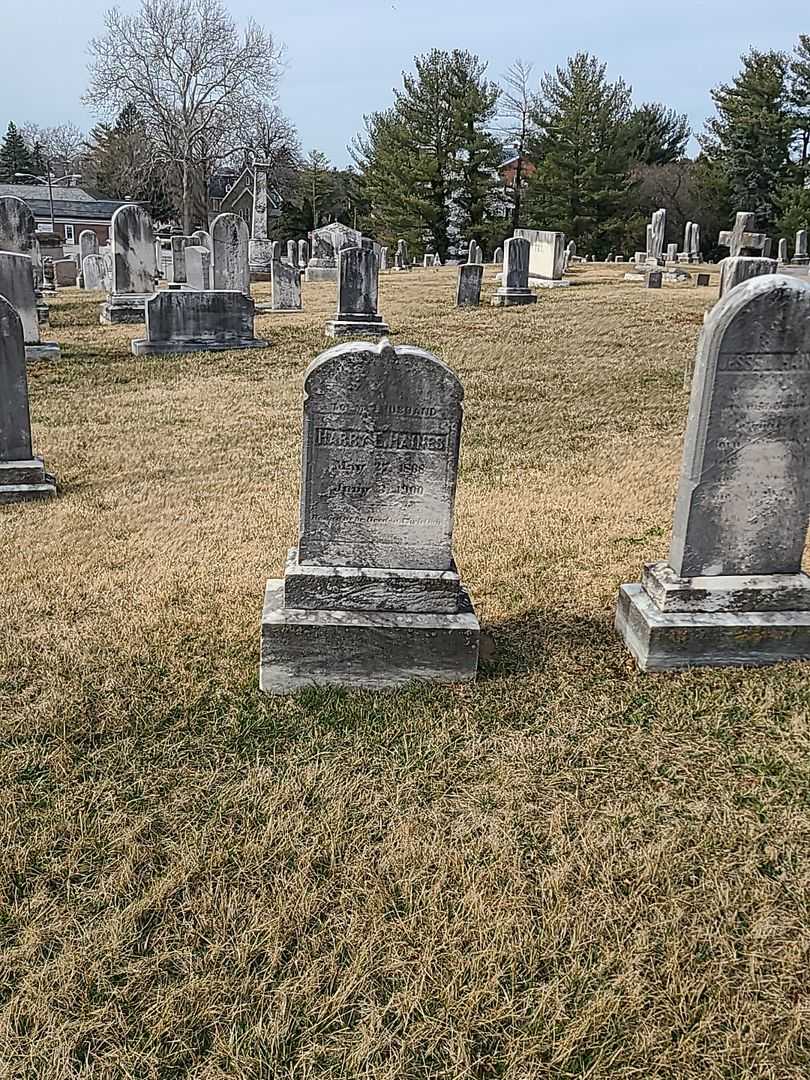 Harry E. Haines's grave. Photo 1