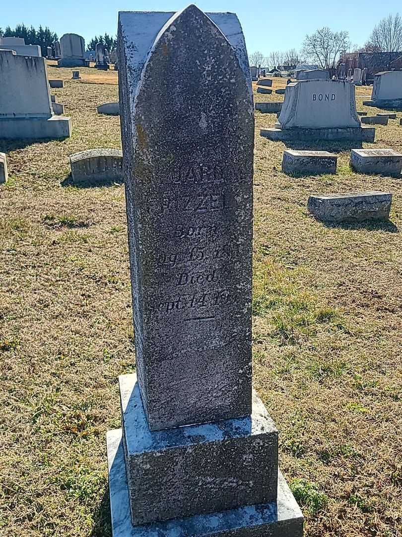 Stuard M. Frizzell's grave. Photo 2