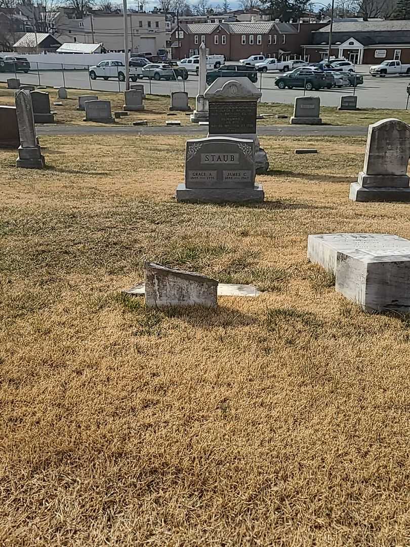 Bernard Holmes's grave. Photo 1