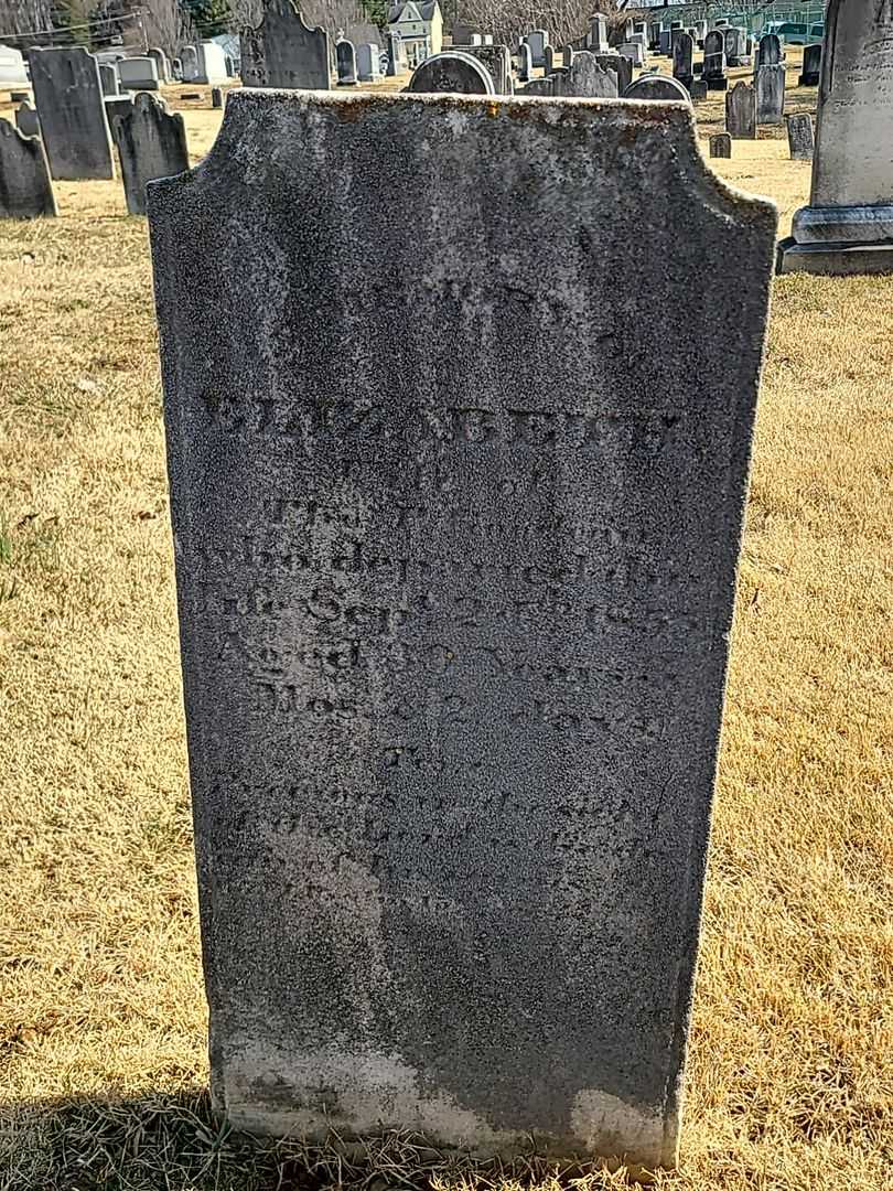 Elizabeth Goodwin's grave. Photo 3