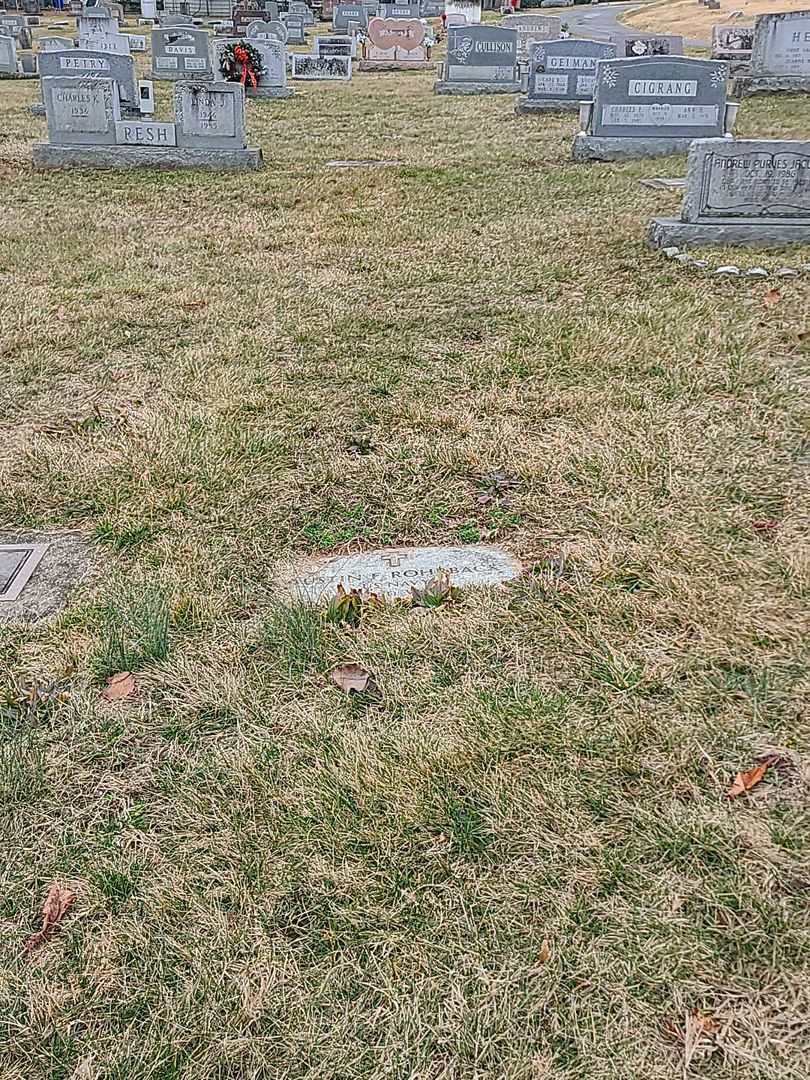 Austin F. Rohrback's grave. Photo 2