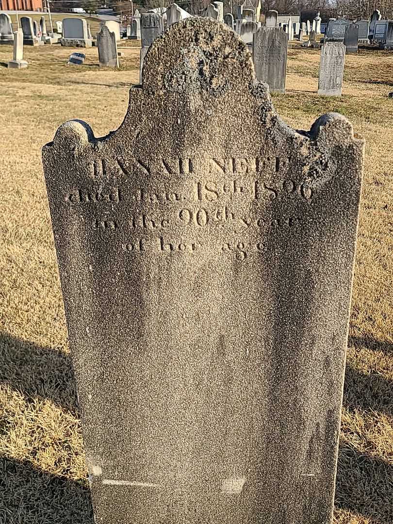 Hanah Neff's grave. Photo 3