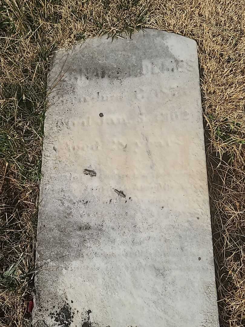 Bernard Holmes's grave. Photo 2