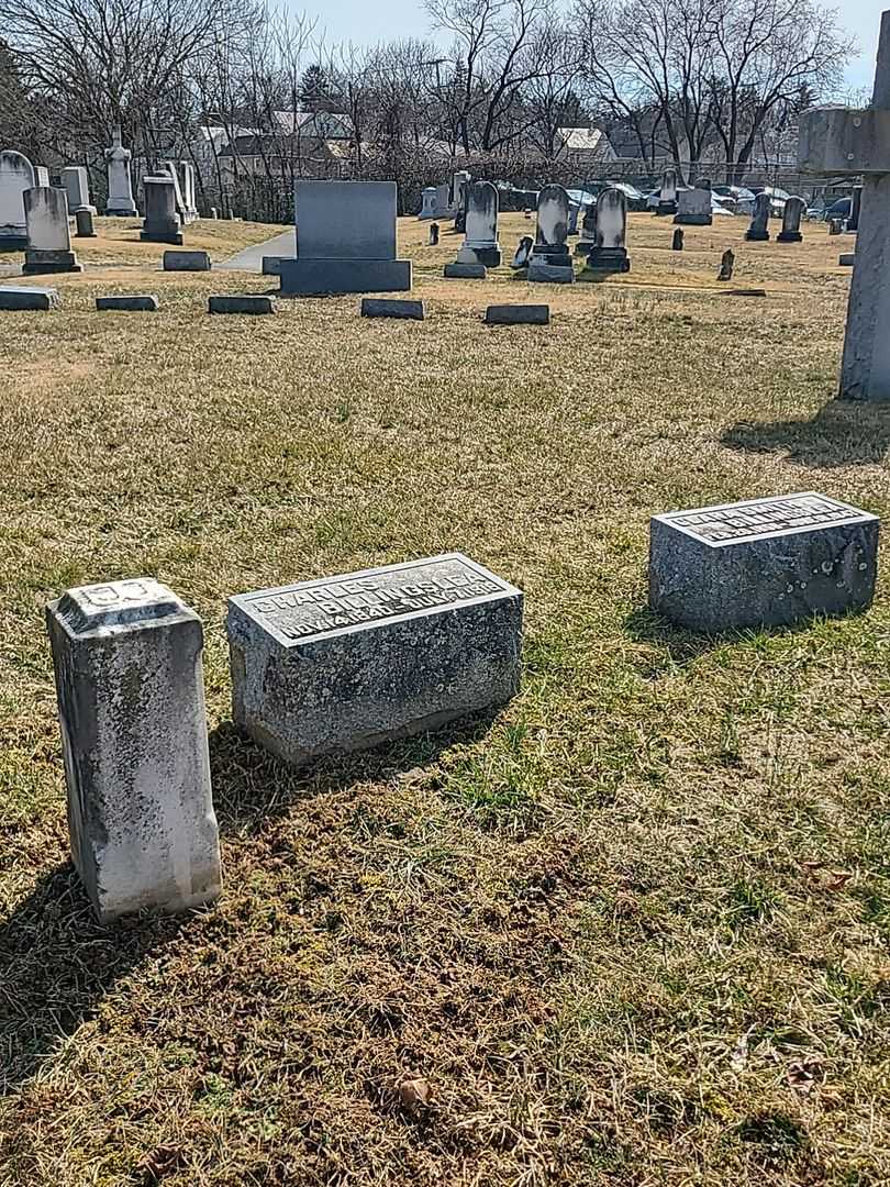 Charles Billingslea's grave. Photo 2