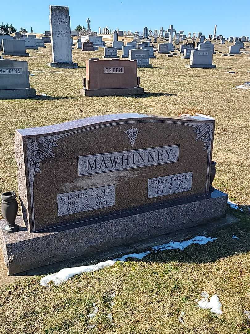 M. D. Charles Mawhinney Junior's grave. Photo 1