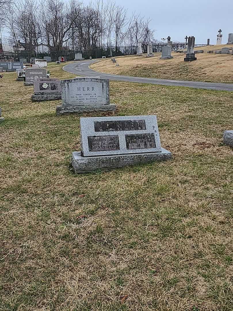 Guy Norman Fringer Junior's grave. Photo 2