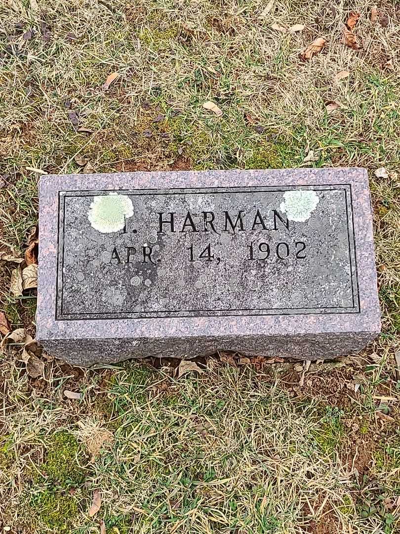 I. Harman Nusbaum's grave. Photo 3