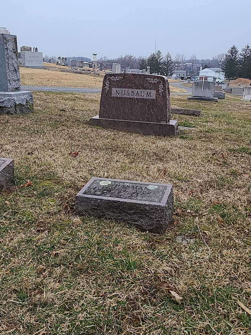 I. Harman Nusbaum's grave. Photo 2