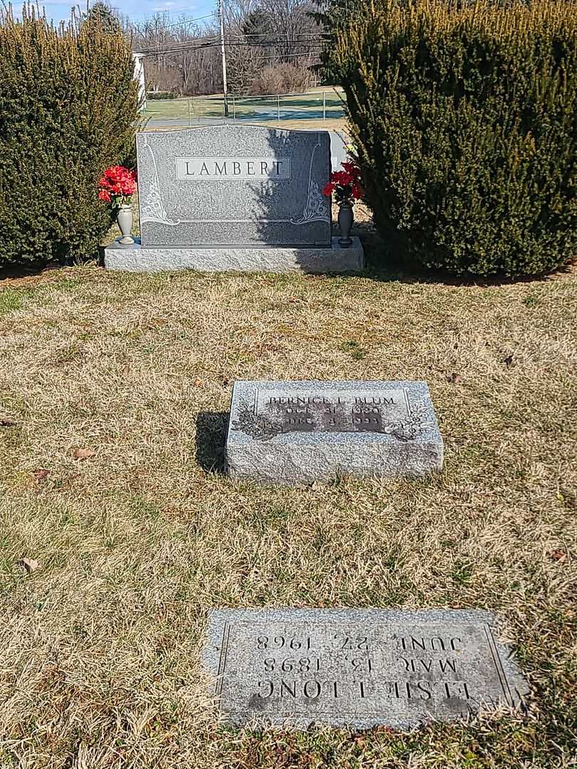 Bernice L. Blum's grave. Photo 2