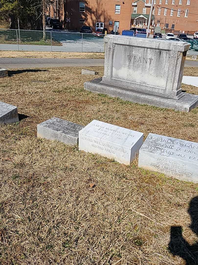 Sarah Morriss Weant's grave. Photo 2