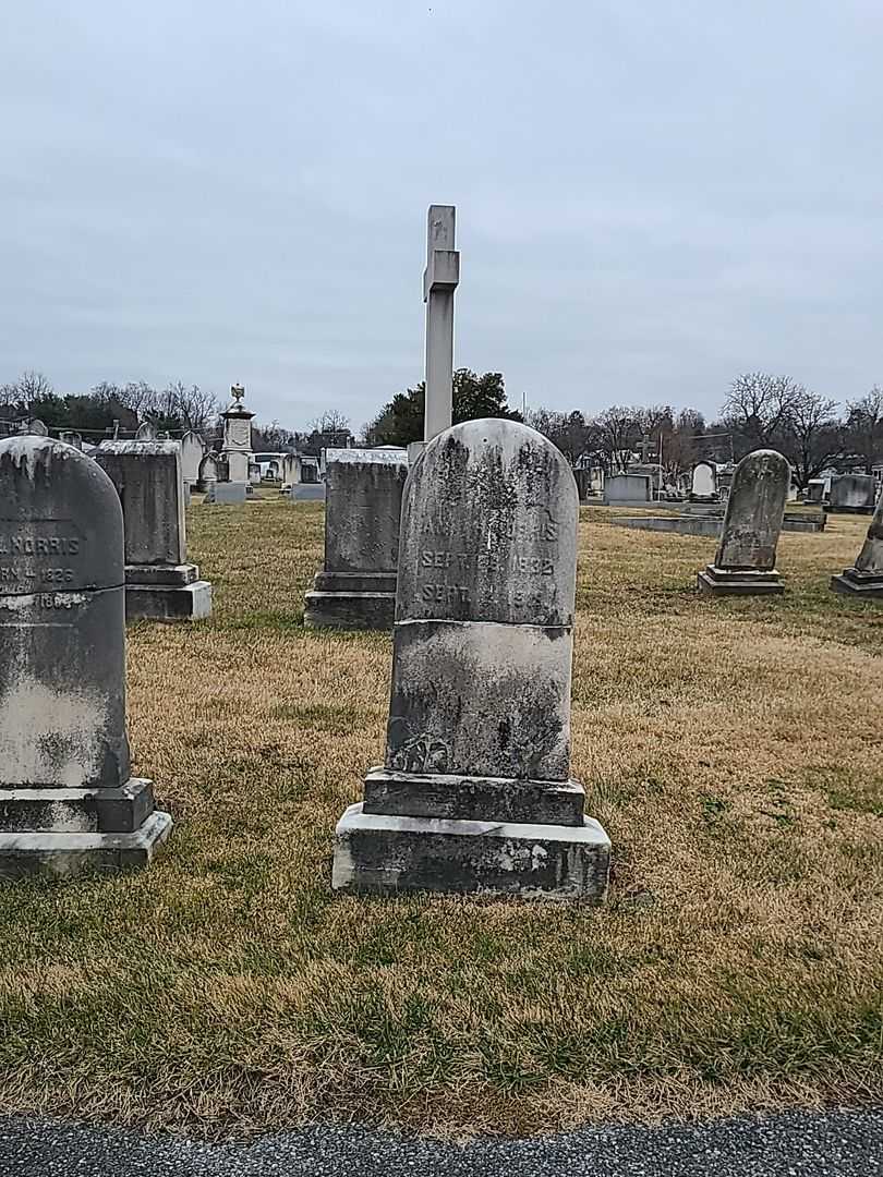 Anna H. Norris's grave. Photo 2