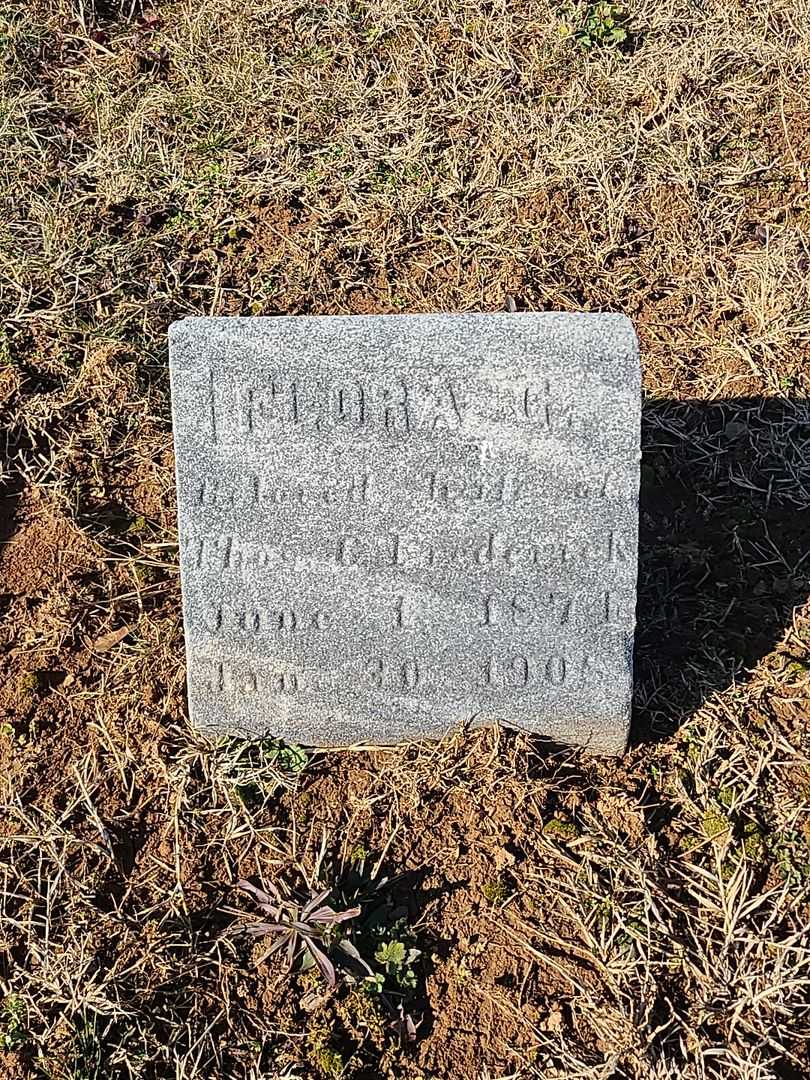 Flora G. Frederick's grave. Photo 3