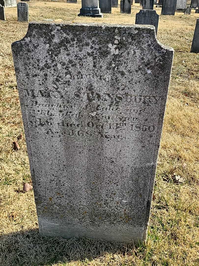 Mary Stansbury's grave. Photo 3