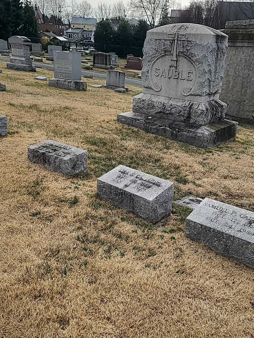 Ora S. Caltrider's grave. Photo 2