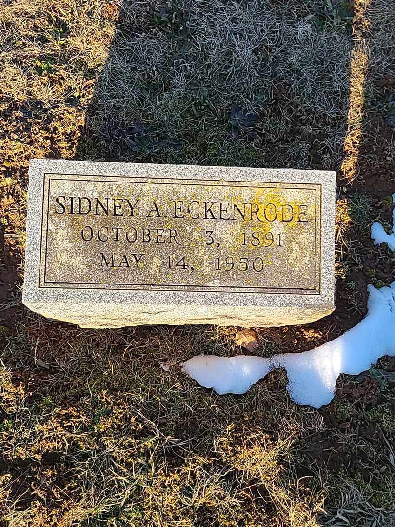 Sidney A. Eckenrode's grave. Photo 4
