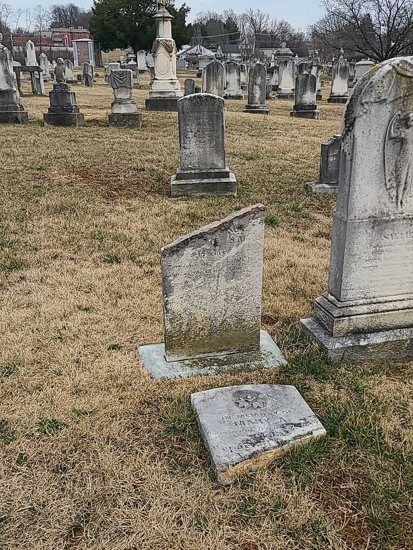 Mary A. Crouse's grave. Photo 2