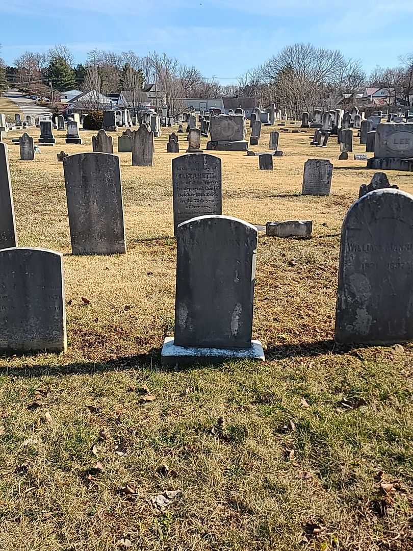 Nelson Manning's grave. Photo 2