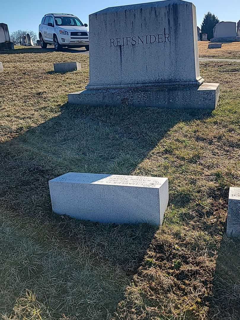 Karen Moss Reifsnider's grave. Photo 2