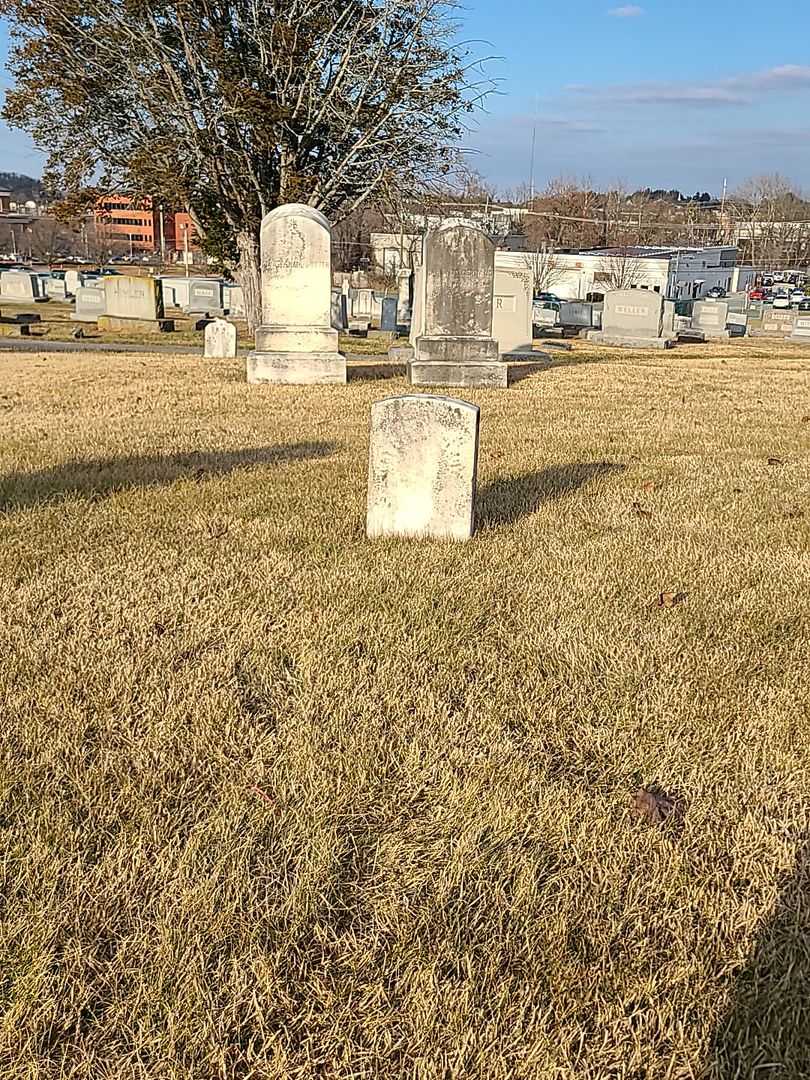 Lee McElroy's grave. Photo 2