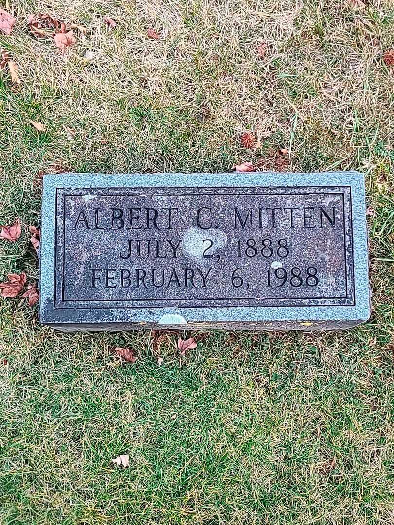 Albert C. Mitten's grave. Photo 3