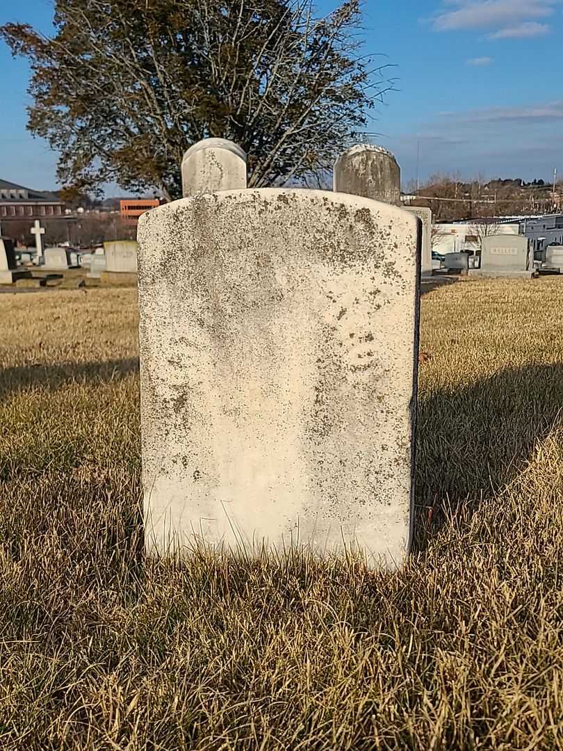 Lee McElroy's grave. Photo 3