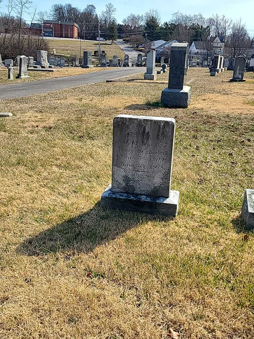 Charles R. Anders's grave. Photo 2