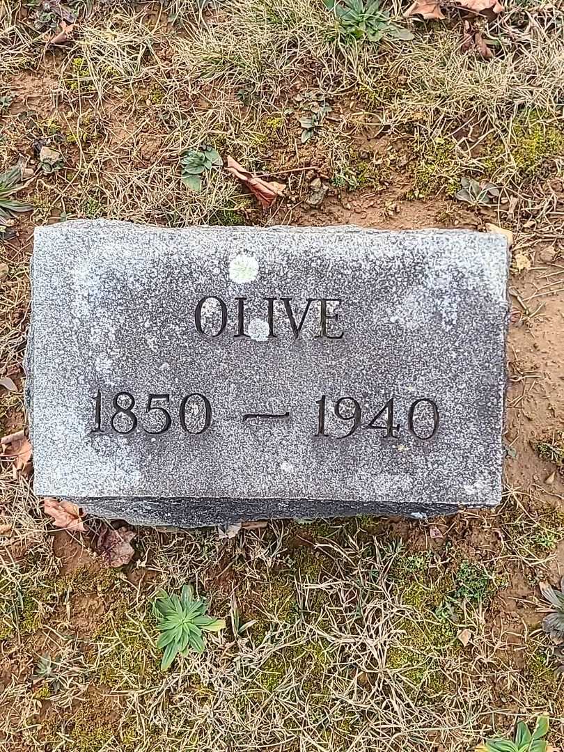 Olive Teed's grave. Photo 3