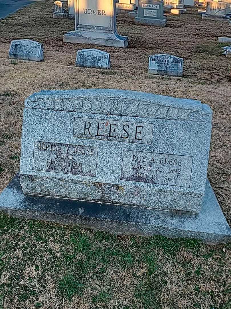 Roy Augustus Reese's grave. Photo 3