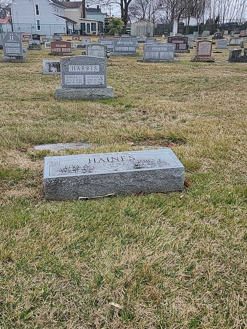 James E. Haines's grave. Photo 2