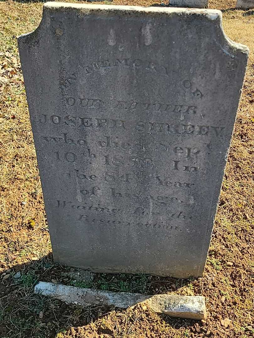 Joseph Shreev's grave. Photo 3