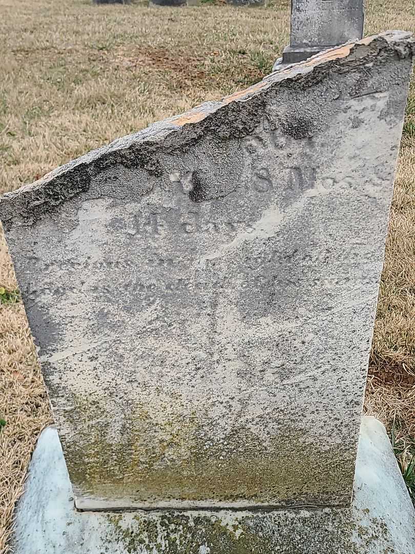 Mary A. Crouse's grave. Photo 4