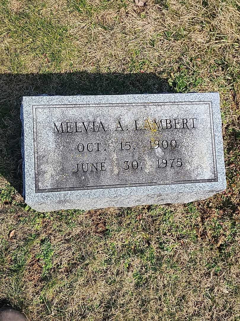 Melvia A. Lambert's grave. Photo 3