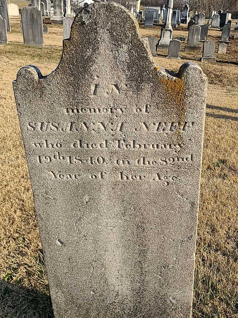 Henry Neff's grave. Photo 1