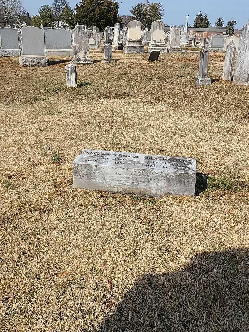 Lula Manning's grave. Photo 2