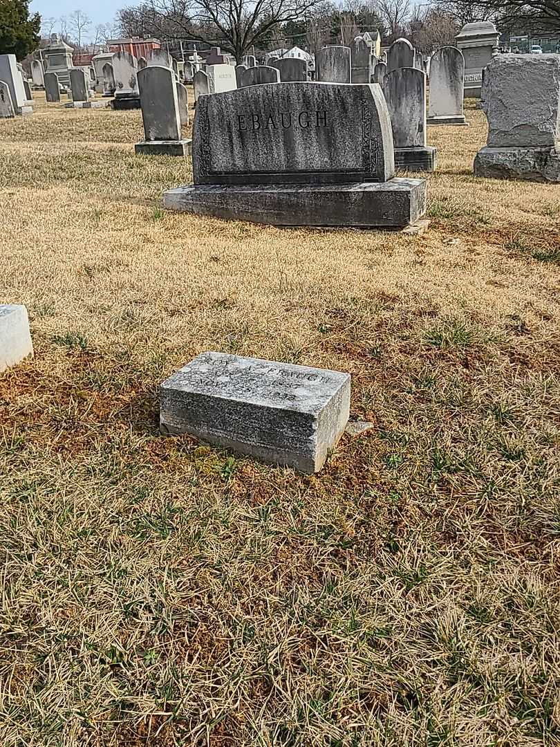 Roy A. Ebaugh's grave. Photo 1