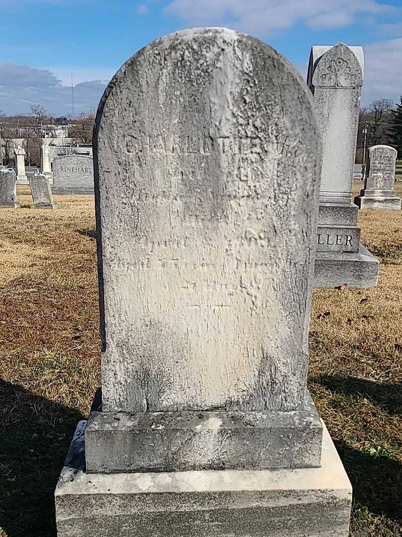 Charlotte V. Yingling's grave. Photo 3