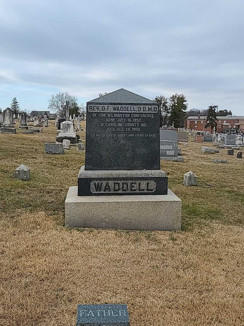 Reverend D. F. Waddell D. D. M. D.'s grave. Photo 2