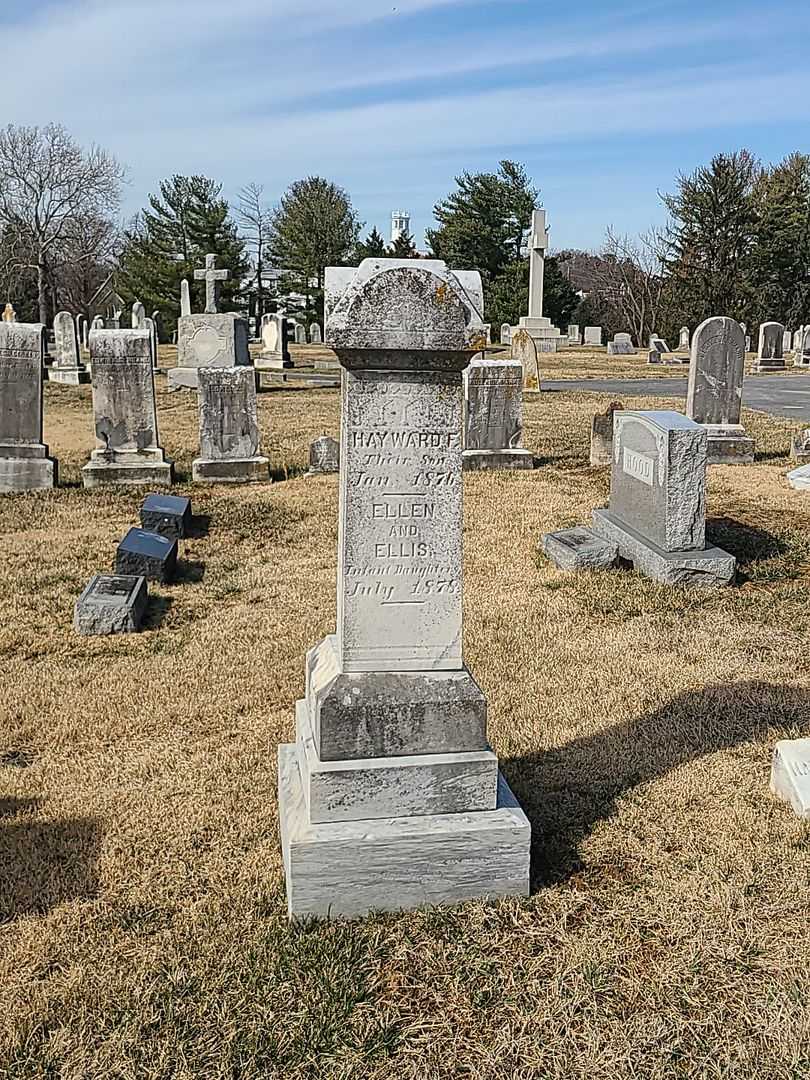 Hayward F. Buell's grave. Photo 1