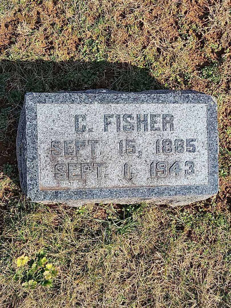 Charles Fisher Wantz's grave. Photo 3