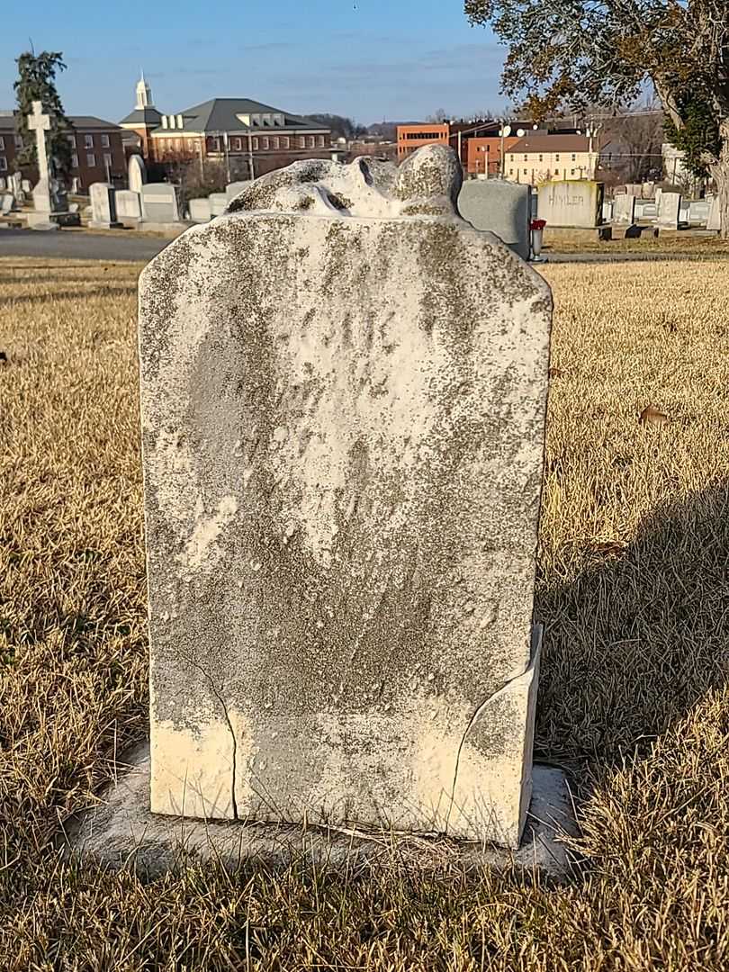 Lee McElroy's grave. Photo 1