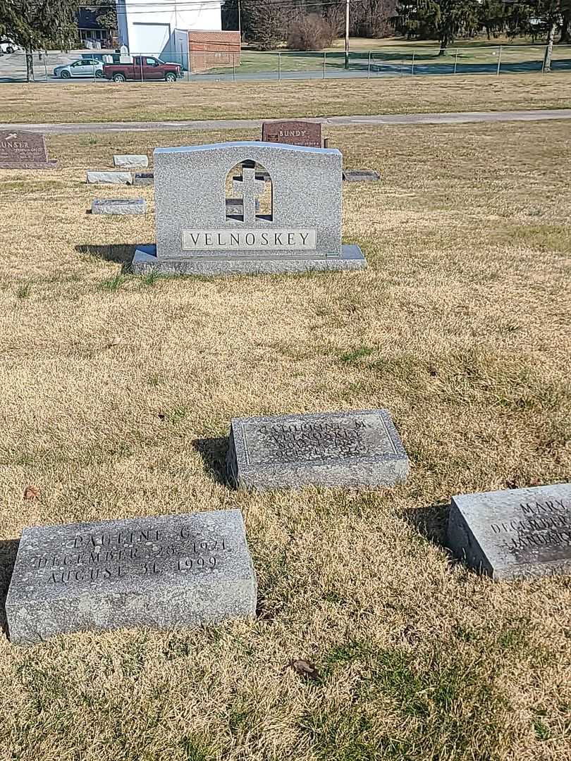 Catherine M. Velnoskey's grave. Photo 2